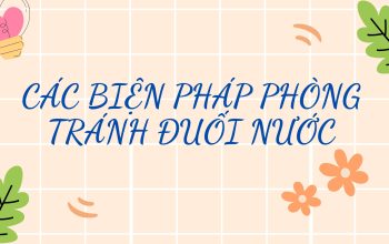 Các biện pháp phòng chống đuối nước_page-0001