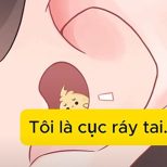 Tôi là cục ráy tai